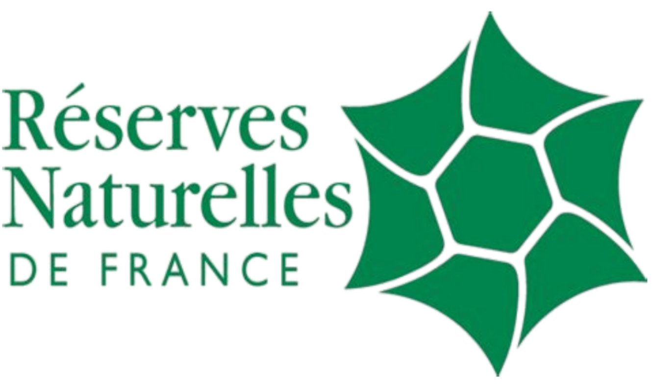 RN Pyrénées catalanes1